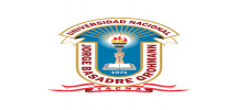 UNIVERSIDAD NACIONAL JORGE BASADRE GROHMANN